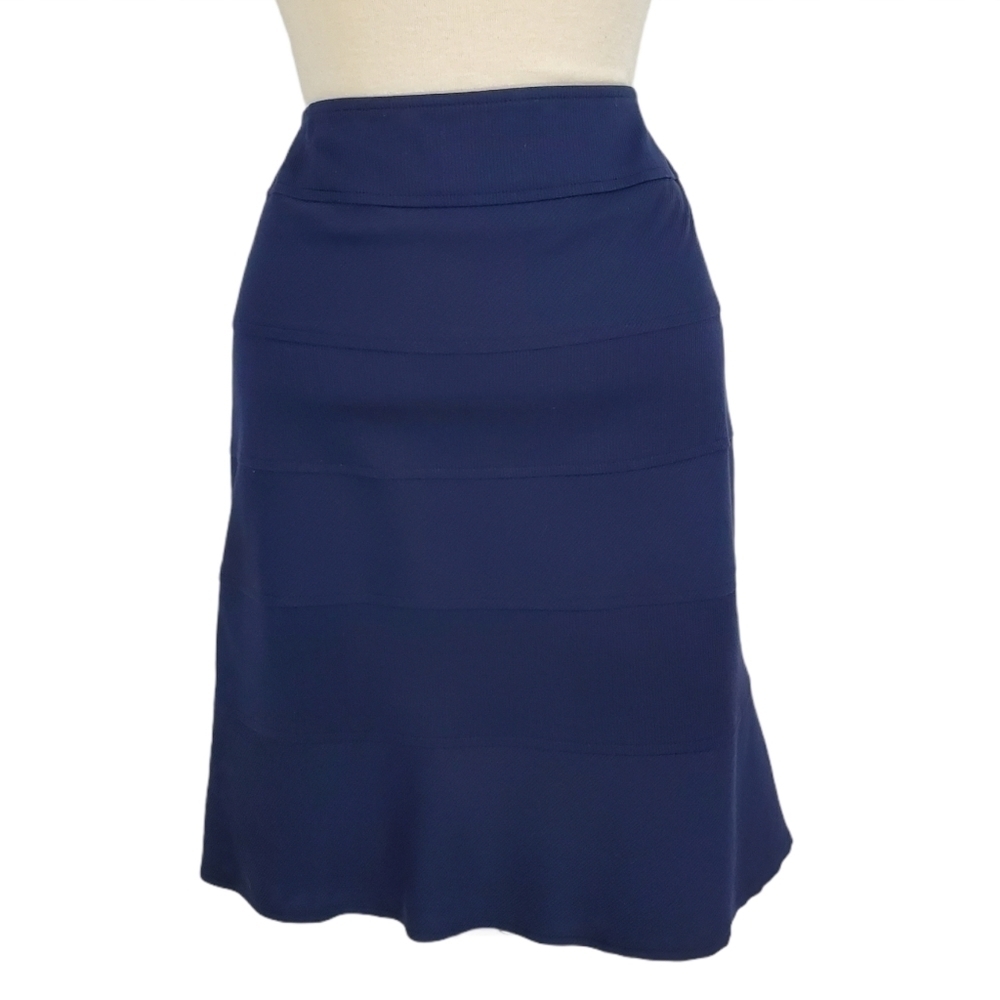 Juliana Collezione Blue Stripe Panel A-Line Skirt